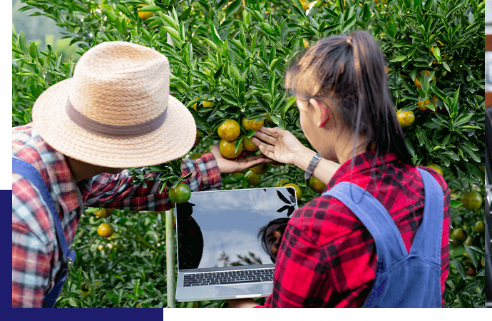 Agriculture Programs